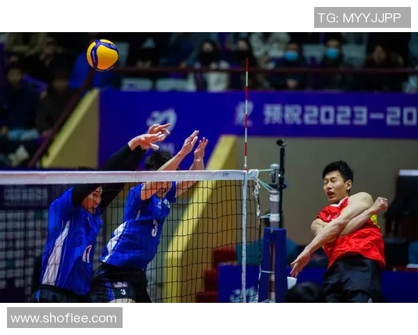 杭州排球队意识争议引发热议球迷与专家观点碰撞激烈