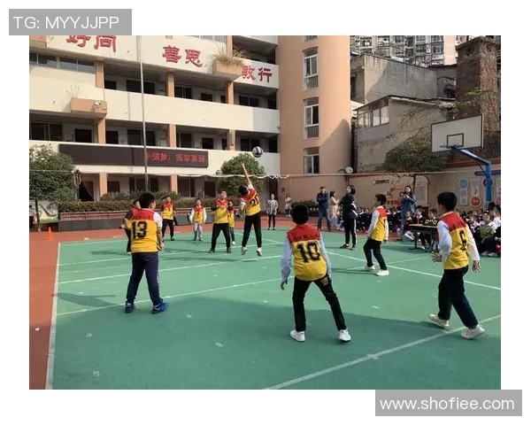 武汉排球队阵地战分析：优劣势与未来发展展望